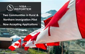 1596505961654642.jpg 4.jpg